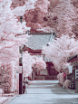 Infrared Photography of Dazaifu. on Behance
