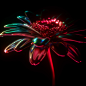 CYBERFLORA : Metallic flowers and glows. 