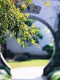 月洞门 ︱ 一步一景，移步换景