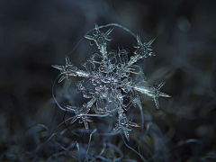 天空中的拉普达采集到美丽的雪花