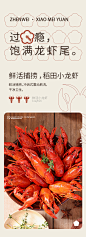珍味小梅园麻辣小龙虾尾盒装冷冻鲜香辣微波炉加热即食方便虾制品-tmall.com天猫
