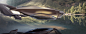 BMW Connected Flight by Patrick Pieplow : BMW Connected Flight. 
Masterthesis at BMW Design Interior — Hybrid Airship 2040, FH Joanneum.

Designer: Patrick Pieplow