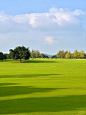 中央公园- Lawn