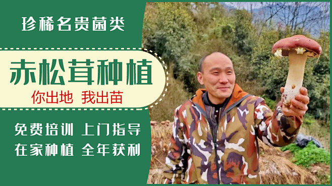 名贵药材种植网站有哪些