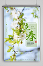 立春 梨花开海报