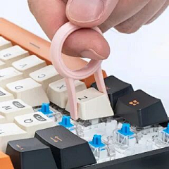 XXXX没有答案采集到不锈钢