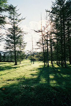 明_cz采集到背景