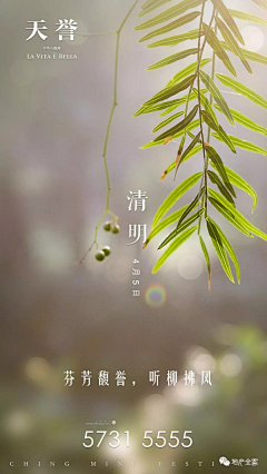果粒仁儿采集到cf