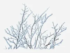卡通手绘冬天雪景树枝高清素材 免抠 设计图片 免费下载 页面网页 平面电商 创意素材 png素材