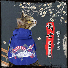 猫衣服春夏装日本KOJIMA猫武士服装直...