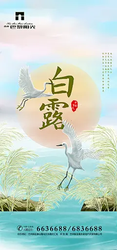 简约白露节气海报--源文件下载