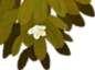 首页.-茵曼旗舰店-天猫Tmall.com