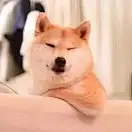 奇闻轶事