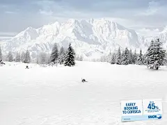 采集图片