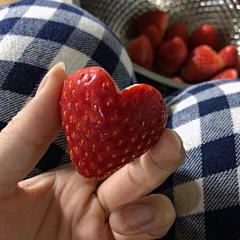 Dona豆花采集到少女心❤