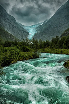 小麦大米采集到风景