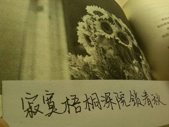 原文：相见欢

无言独上西楼，月如钩。寂...