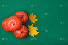 Small orange pumpkins and dry yellow autumn maple 