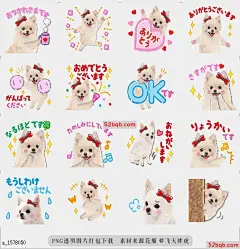 line贴图表情包可爱的狗系统尊重语言|The cute dog system respect language 可爱的狗女孩系统尊重语言贴纸|The cute dog girlie system respect language Sticker@飞天胖虎