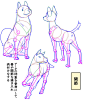 #绘画教程#一组动物画法 ​​​​