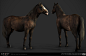 GHOST OF TSUSHIMA - HORSES, LITTLE RED ZOMBIES : We've had the amazing opportunity to work together with Sucker Punch Productions on GHOST OF TSUSHIMA!

These are some of the horse textures and fur samples that we worked on/

Nakshatra Solanki was respons