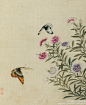 #工笔画#【 清 蒋廷锡 《仿宋人设色图册》 】册页（十二开），绢本设色，29.8×24.5cm×12。 此册以没骨法作写生十二种，或一花独放，或杂卉争妍，或鸟鸣枝头，或鱼入荇草，或彩蝶穿叶，或狸奴扑食。用笔秀谨，一丝不苟；设色艳丽，而自趋淡冶。其中数幅蝴蝶，都精描细染，真有粉欲脱，翅欲活之感。