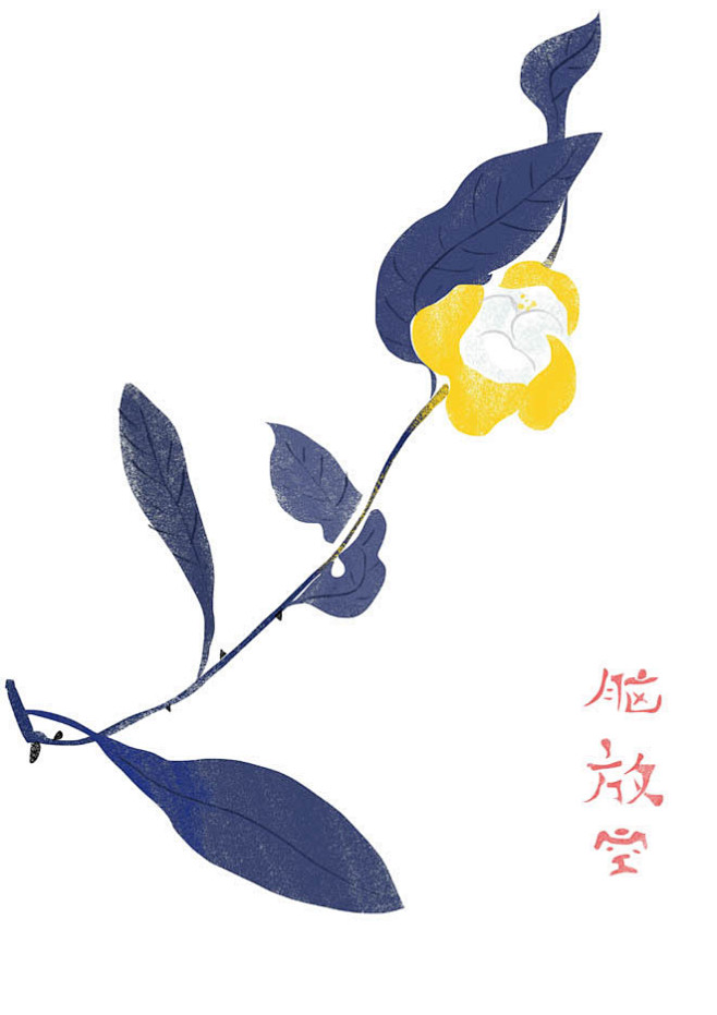植物練習_鸟先森