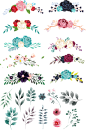 水彩花草PNG