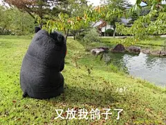 又放我鸽子了 熊本熊表情包#表情包#