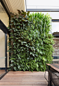 coates_L_02植物墙意向#上海翁记绿墙#