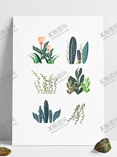手绘植物 【酷图网】手绘,水彩,水粉,植物,花朵,绿植