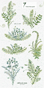 绿色植物文艺夏日水彩花环包装设计图案PNG免抠+PSD分层 (5)