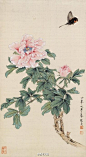 俞致贞工笔花鸟作品欣赏——俞致贞（1915—1995.5.）女，北京人。著名花鸟画家。中国书画函授大学教授，北京工笔重彩画会副会长，擅长工笔花鸟。出版有《荣宝斋画谱——工笔花卉》《工笔花卉、草虫技法》、《美术画库——工笔花卉技法》等专集、专著。