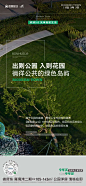 价值-公园绿洲