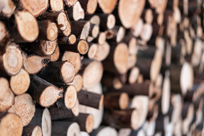 pile-of-firewood-woo...