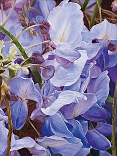 flower paintings-花瓣网|陪你做生活的设计师