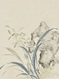 幽兰一枝_1_近溪_来自小红书网页版