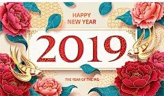 2019猪年新年元旦喜庆海报banner背景插画高清4K JPG图片素材 - 设汇