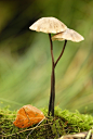 我不问，你不说，这就是距离；
我问了，你不说，这就是隔阂；
我问了，你说了，这就是信任；
你不说，我不问，这就是默契；
我不问，你说了，这就是依赖。