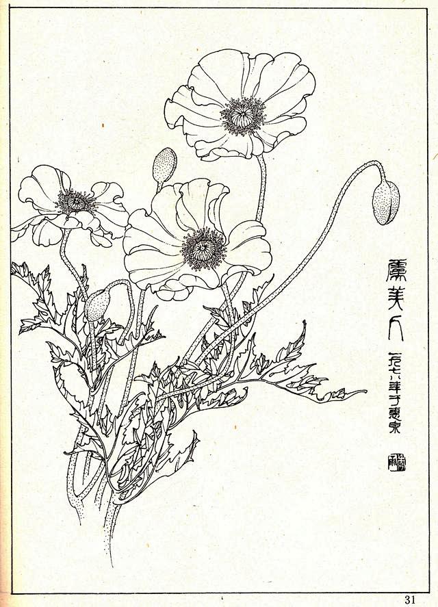 花卉线描资料，《白描花卉》