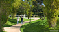 霍华德休斯中心商务公园绿色草坪-霍华德休斯中心商务公园第5张图片