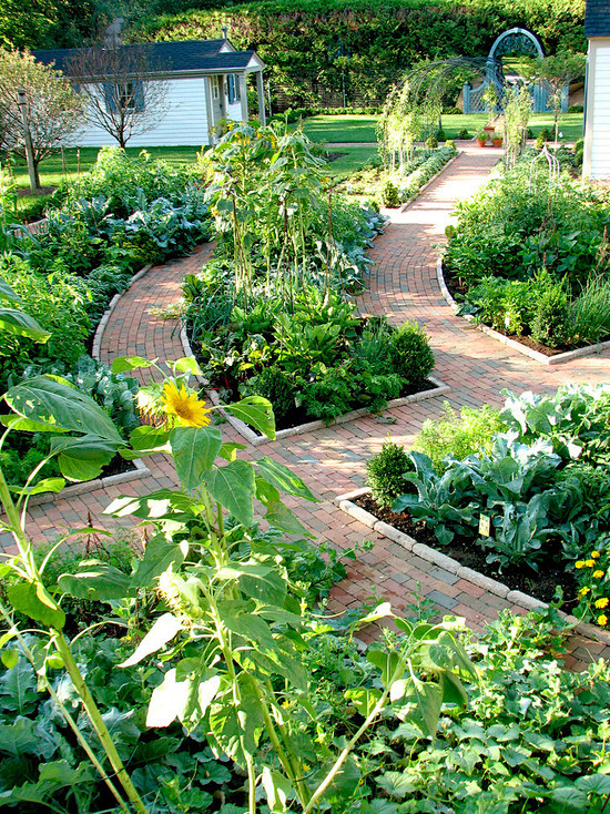 Vegetable Garden Hom...