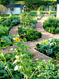 Vegetable Garden Home Design Ideas, Pictures, Remodel and Decor