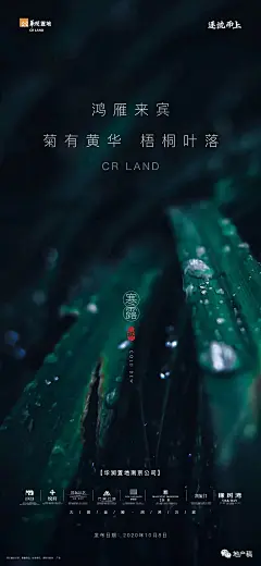 2020寒露地产稿精选视觉小品 : 秋意寒 多添衣！