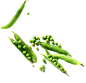 青豆