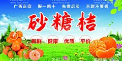 砂糖橘  - 源文件下载【酷图网】砂糖橘,砂糖桔,蓝天,白云,草地,桔子,海报,广西