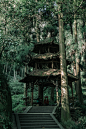 青城·天下幽