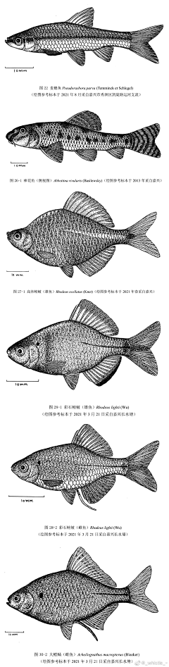 丶画匠采集到彩铅画