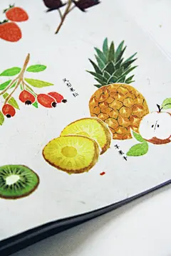 芳香花果茶-biiig bear_插画,花果茶,小清新,花茶_涂鸦王国插画