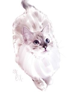 速画本采集到画猫，宠物画像，猫咪画像，猫咪手绘
